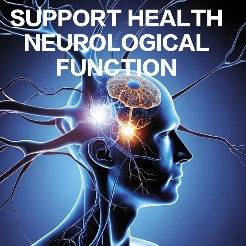 Alpha Lipoic Acid Softgels - Supports Nervous System Health Powerful Antioxidant Promotes Metabolism Healthy Aging — image 3