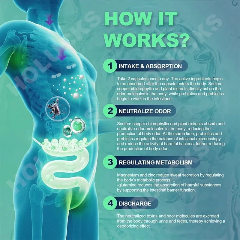 Suplemento de cápsulas de clorofila, desodorização corporal, deos e limpeza, suporte à digestão para a saúde do intestino e da pele — image 3