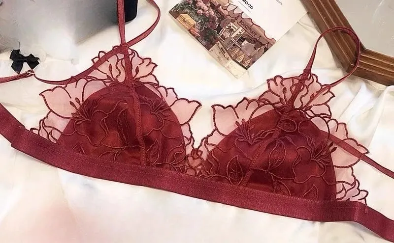 French Embroidery Lace Bralette Wireless Triangle Cup Bra for Women Elegant Underwear Set Thin Straps Small Chest Cover MOYISU — image 12