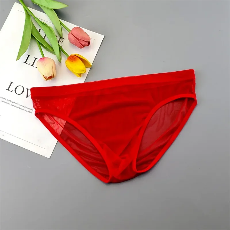 Men Transparent Nylon Briefs 3D Pouch Lightweight Male Bikini Underwear Soft Sheer Quick Drying Stretchy Lingerie XL/XXL/3XL/4XL — image 22