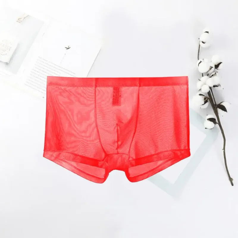 Transparent Boxers for Men See Through Male Underpants Sexy Mesh Low Waist Ice Silk Thin Cooling Men Panties Men Underwear — image 10