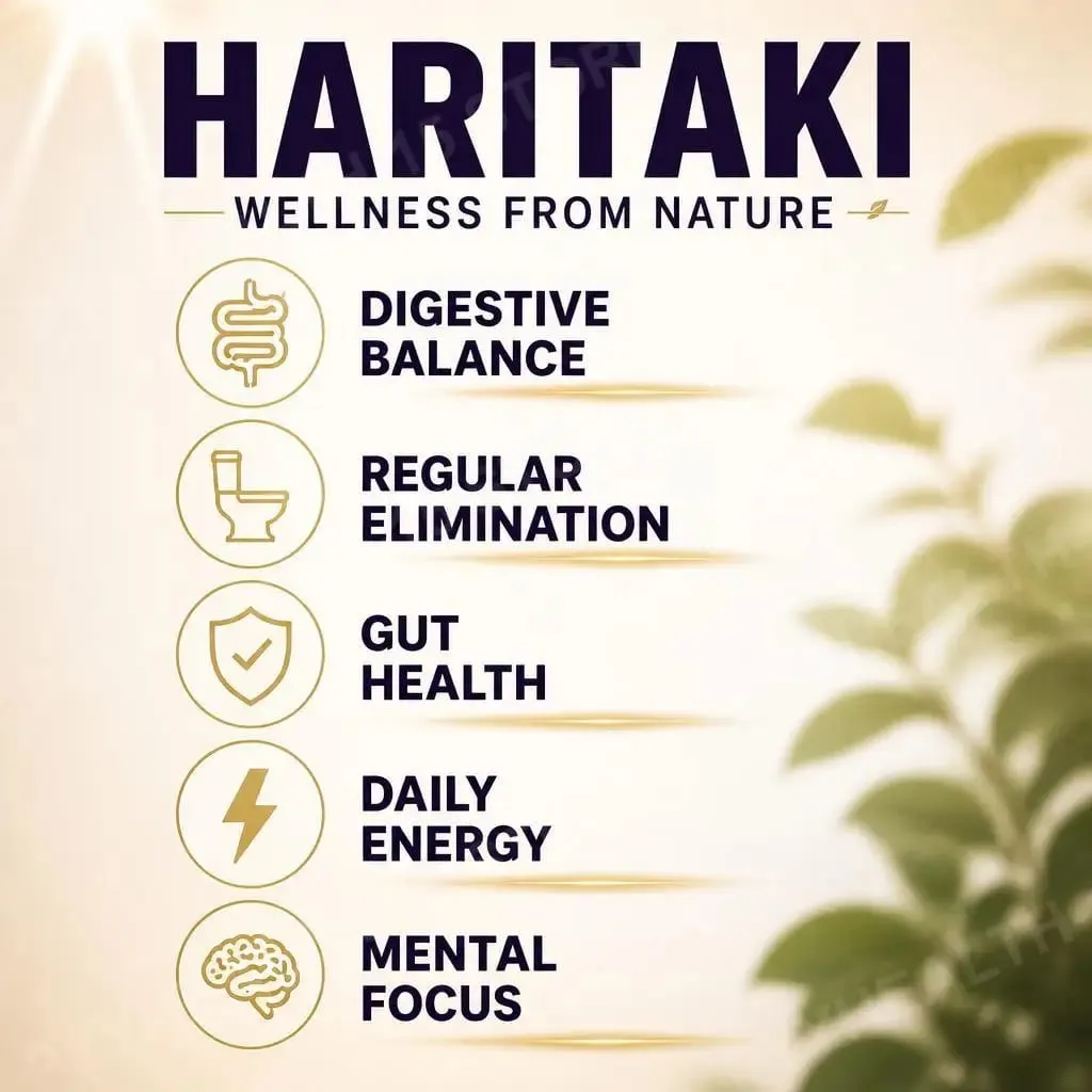 Haritaki Fruit Powder Capsules Supports Digestive Balance and Gut Health Mental Focus Single Ingredient 30 Servings 60 Capsules — image 4