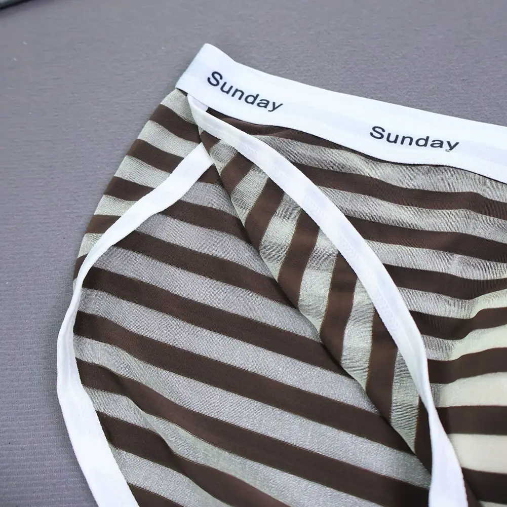 Men Casual Transparent Striped Mesh Briefs Side Fork Panties Shorts Breathable Pouch Man Comfortable Home Underwear — image 19
