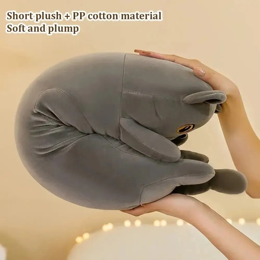 かわいい 50/70 センチメートル猫ぬいぐるみフワフワソフト睡眠スロー枕クリエイティブ素敵なぬいぐるみ誕生日プレゼント — image 5