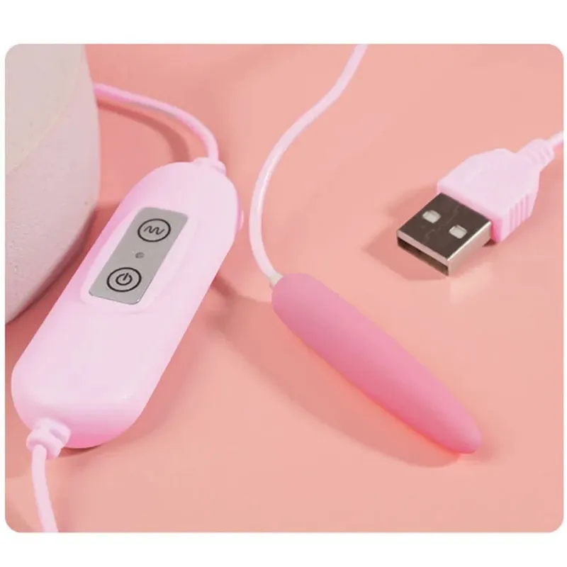 100 cm Urethrale Vibrator 20 model Clitoris G-Spot Sprong Ei usb power Vibrator Seksspeeltje Bullet afstandsbediening vibrerende ei