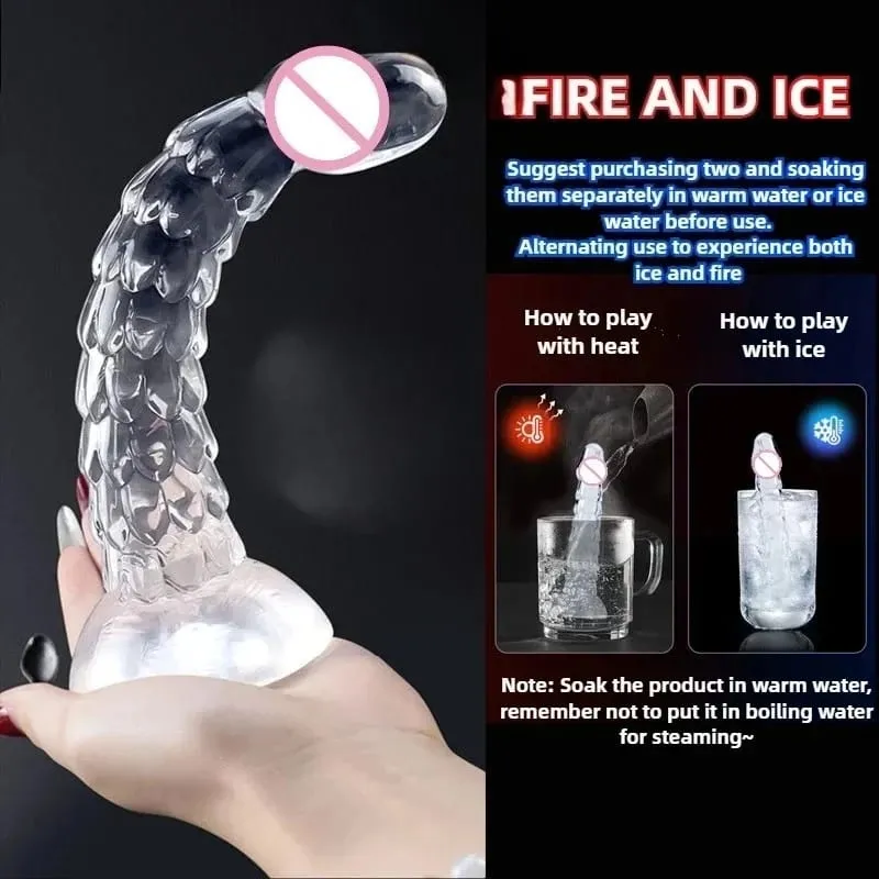 23 cm Ejderha Yapay Penis Vantuz Anal Plug Kırbaç Buttplug Anüs Dilatör Kadın Vajinal Masturbator Butt Plug Seks Oyuncakları Kadın Erkek — image 5