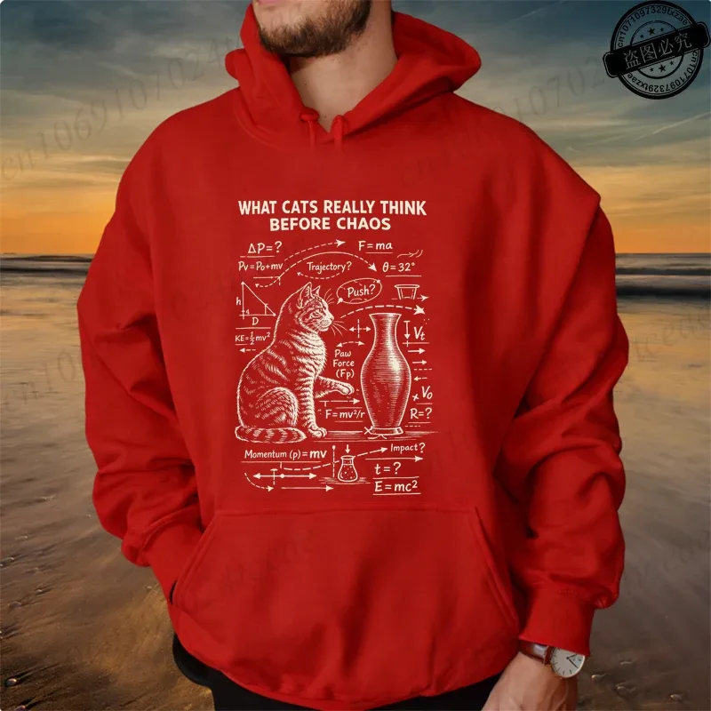 Funny Cat Physics Design Hoodies Math Science Humor Cat Print Sweatshirt Personalized Men Women Casual Streetwear Fashion Hoodie — image 14