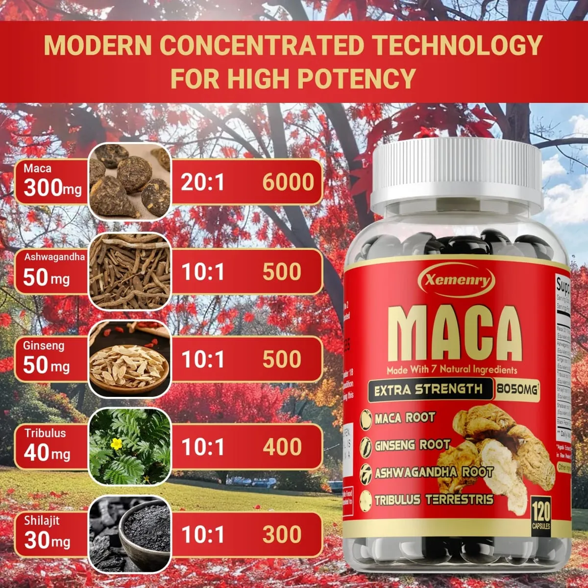 Maca-Wurzel-Kapseln – mit Ginseng und Ashwagandha zur Unterstützung der Energieausdauer und zur Verbesserung der Muskelmasse — image 4