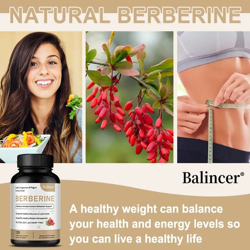 Berberine Capsules 500 Mg - Promotes Cardiovascular and Cholesterol Health Support Healthy Weight Management and Immune System — image 2