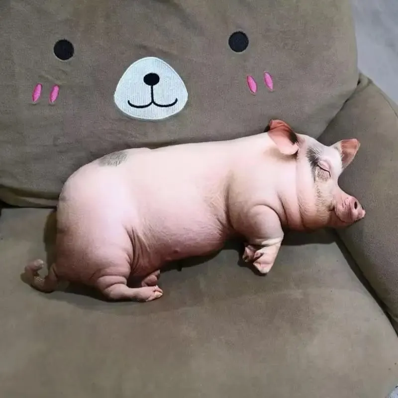 Durável realista dormir porco brinquedo de pelúcia macio algodão recheado travesseiro para carro sofá decoração casa crianças presente — image 9