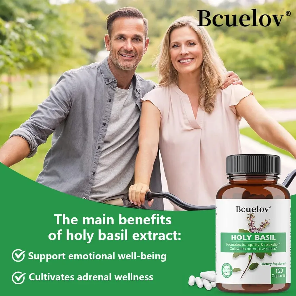 Holy Basil Tulsi Extract Capsules สนับสนุนต่อมหมวกไตภูมิคุ้มกันระบบทางเดินหายใจ & Daily Calm Wellness ความเครียดและความวิตกกังวลบรรเทา