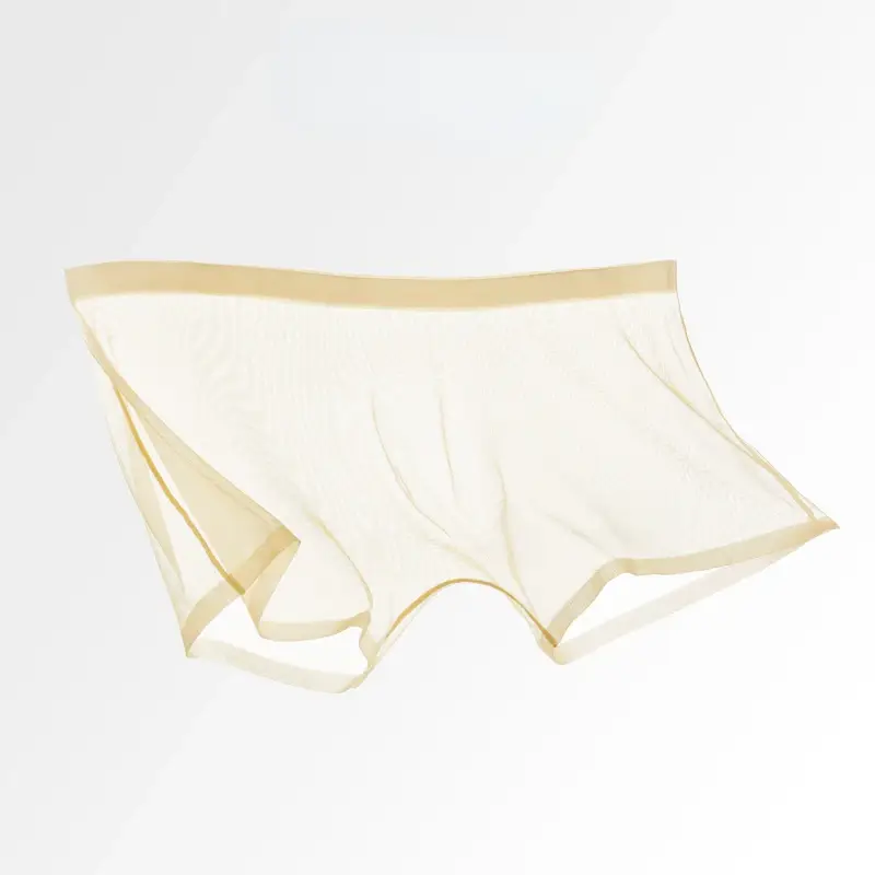 Herrenunterwäsche, transparente Boxer, Ausbuchtung, Eisseide, durchsichtige Unterhose, sexy Slips, niedrige Taille, Höschen, Dessous, Dessous — image 9