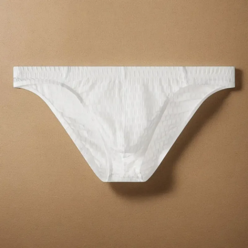 Atmungsaktive Herren-Slips mit niedriger Taille, transparent, ultradünn, aus Eisseide, Unterwäsche, Dessous, Netzhöschen, männlich, bequeme Passform — image 4