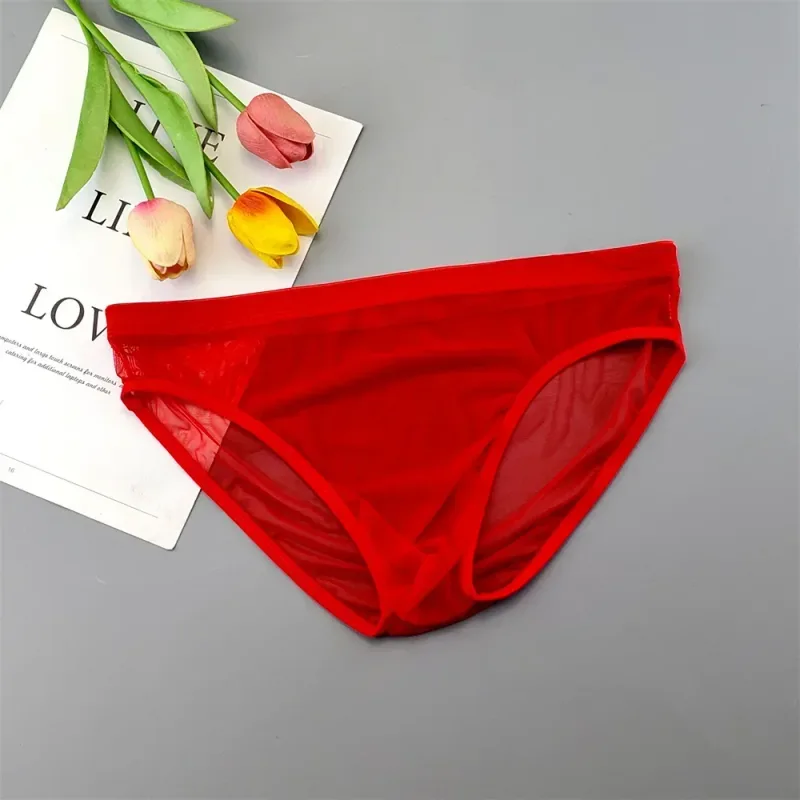 Men Transparent Nylon Briefs 3D Pouch Lightweight Male Bikini Underwear Soft Sheer Quick Drying Stretchy Lingerie XL/XXL/3XL/4XL — image 14