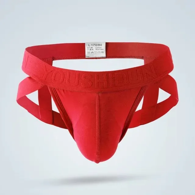 1 PCS New Men Sexy Low Rise Panties G-strings Thong Jock Strap Underwear Briefs Convex Pouch Underpants Gays Clothes Lingerie — image 19