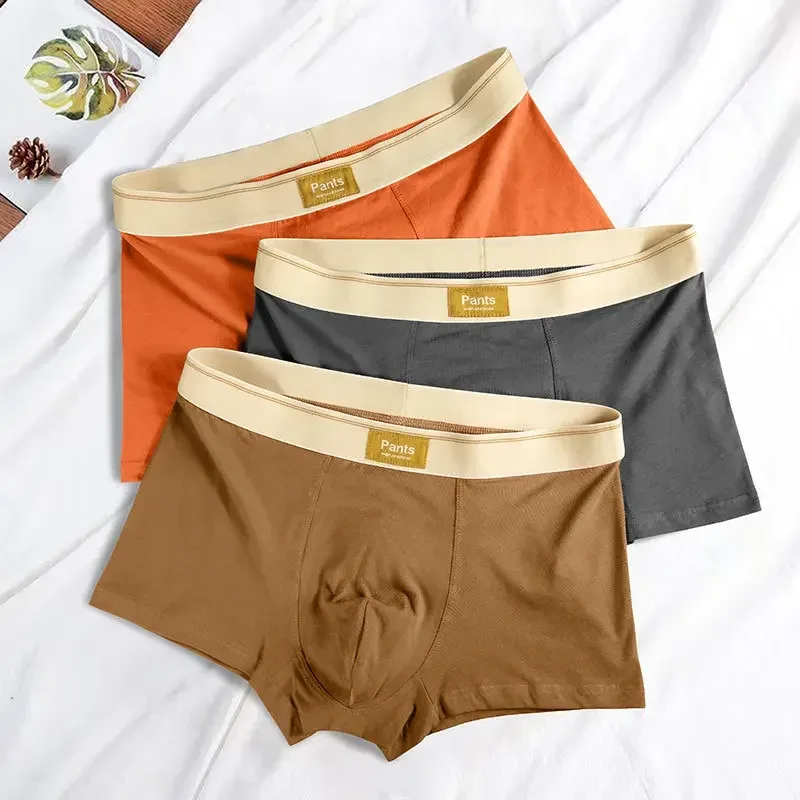Men Underwear Cotton BoxerShorts Hombre Panties Man Breathable Underpants Sexy Sports Comfort Male Boxers Large Size L-7XL — image 4