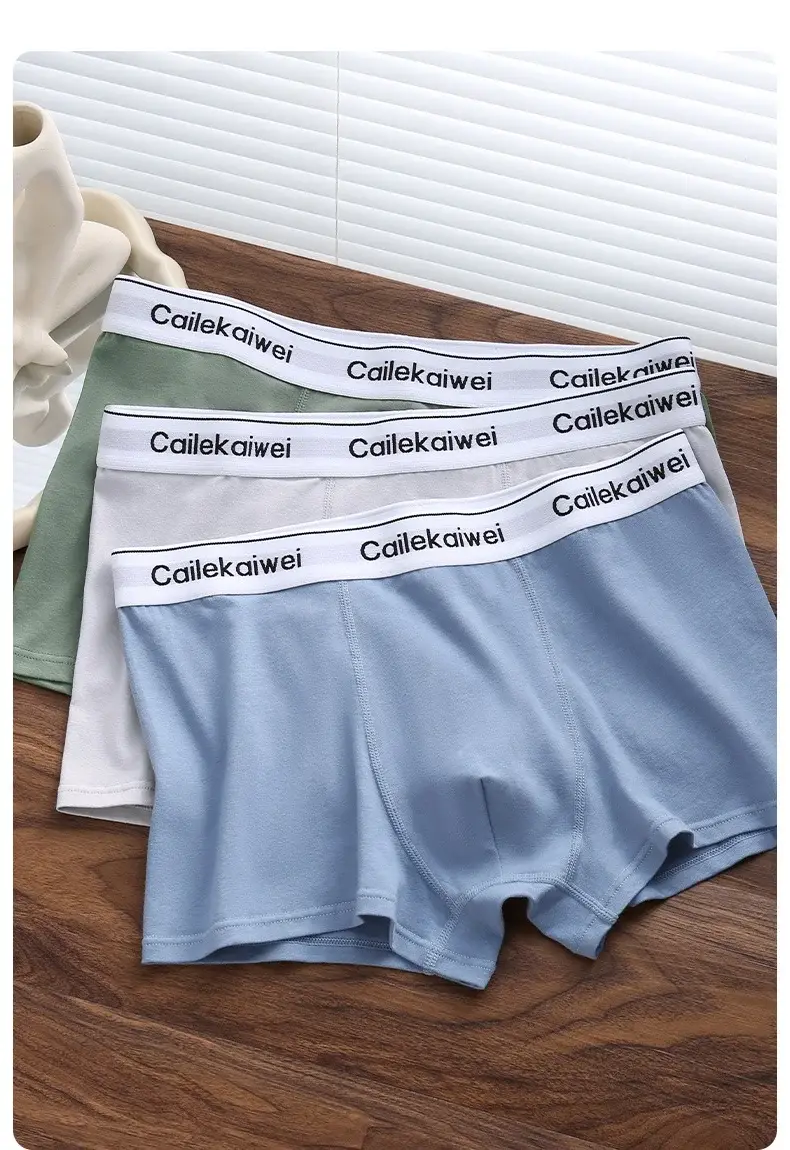5Pcs Boxer Shorts Men's Underwear Sexy Panties Pure Cotton Solid Elasticity Man Underpants Male Boxers Homme U Convex Lingerie — image 4
