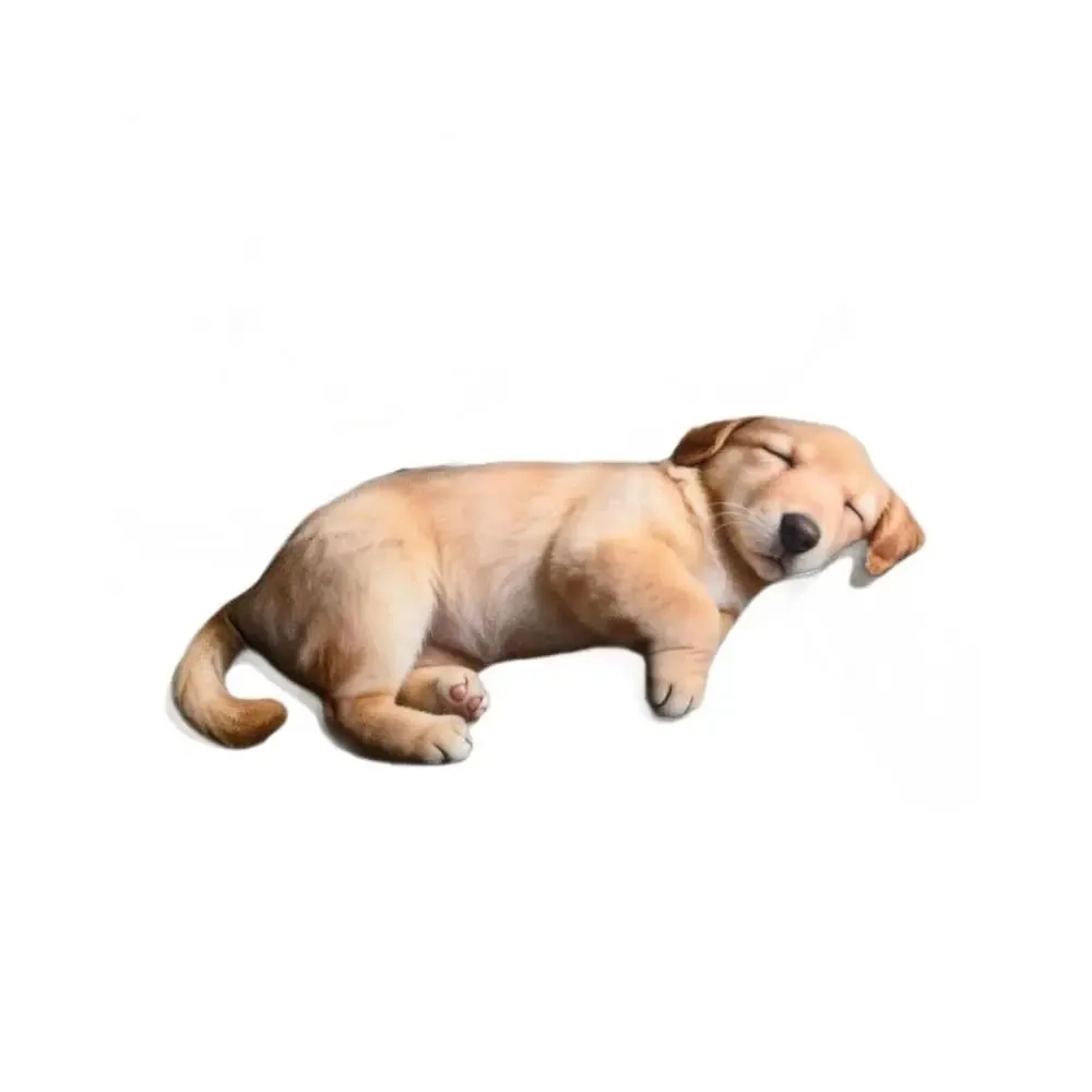 Oreiller en peluche pour le corps d'un Animal, en coton PP rempli, Texture douce, coussins de volaille, motif de chat, Design mignon — image 5