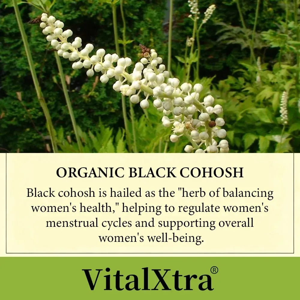 ราก Black Cohosh ควบคุมการทำงานของต่อมไร้ท่อ ปรับปรุงคุณภาพการนอนหลับ บรรเทาอาการวัยหมดประจำเดือน ช่วยสุขภาพหัวใจและหลอดเลือด — image 3