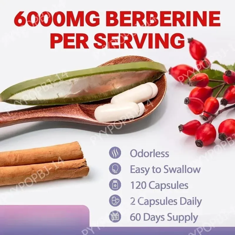 27 in 1 Berberine Supplement with Ceylon Cinnamon Milk Thistle for Liver Gut Health Immunity Men & Women 120 Vegan Capsules — image 3