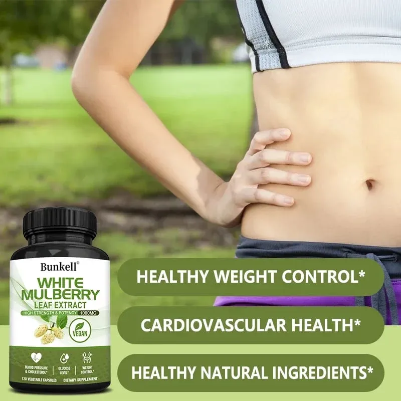 Hvidt Mulberry Leaf Extract 1000mg - 120 Kapsler Hvid Mulberry Leaf Ikke-GMO glutenfrit supplement Høj styrke og styrke — image 2