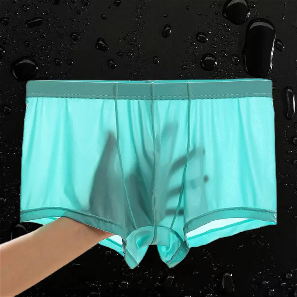 Transparente Boxer Männer Eis Seide Schnell Trocknend Männliche Badehose Sommer Nahtlose Unterwäsche Ultra-dünne Plus Größe Shorts — image 2