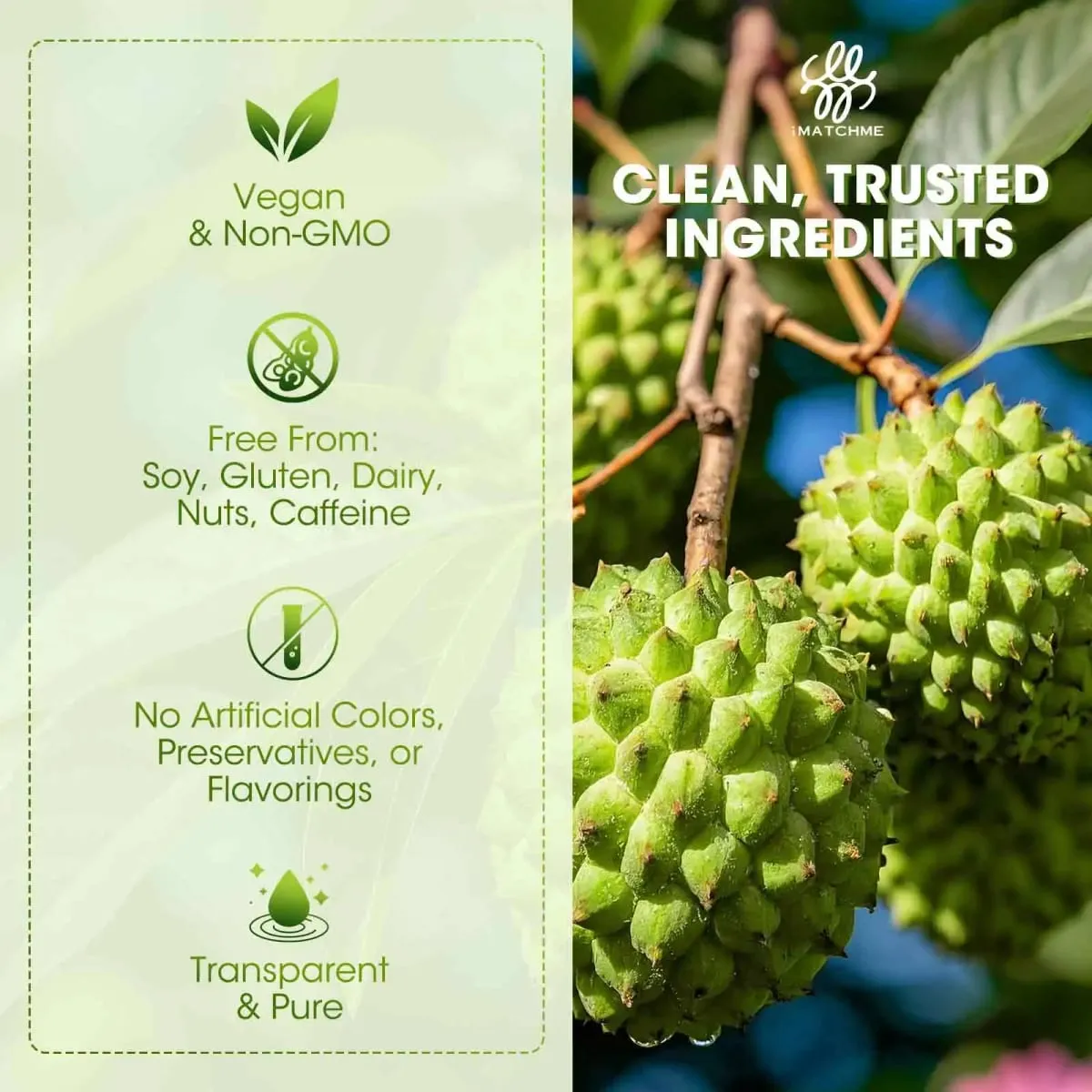 Titisan Cecair Graviola Soursop Organik untuk Sokongan Sel Antioksidan Semulajadi & Penjanaan Semula Peningkatan Imun Kaya dengan Multivitamin — image 5