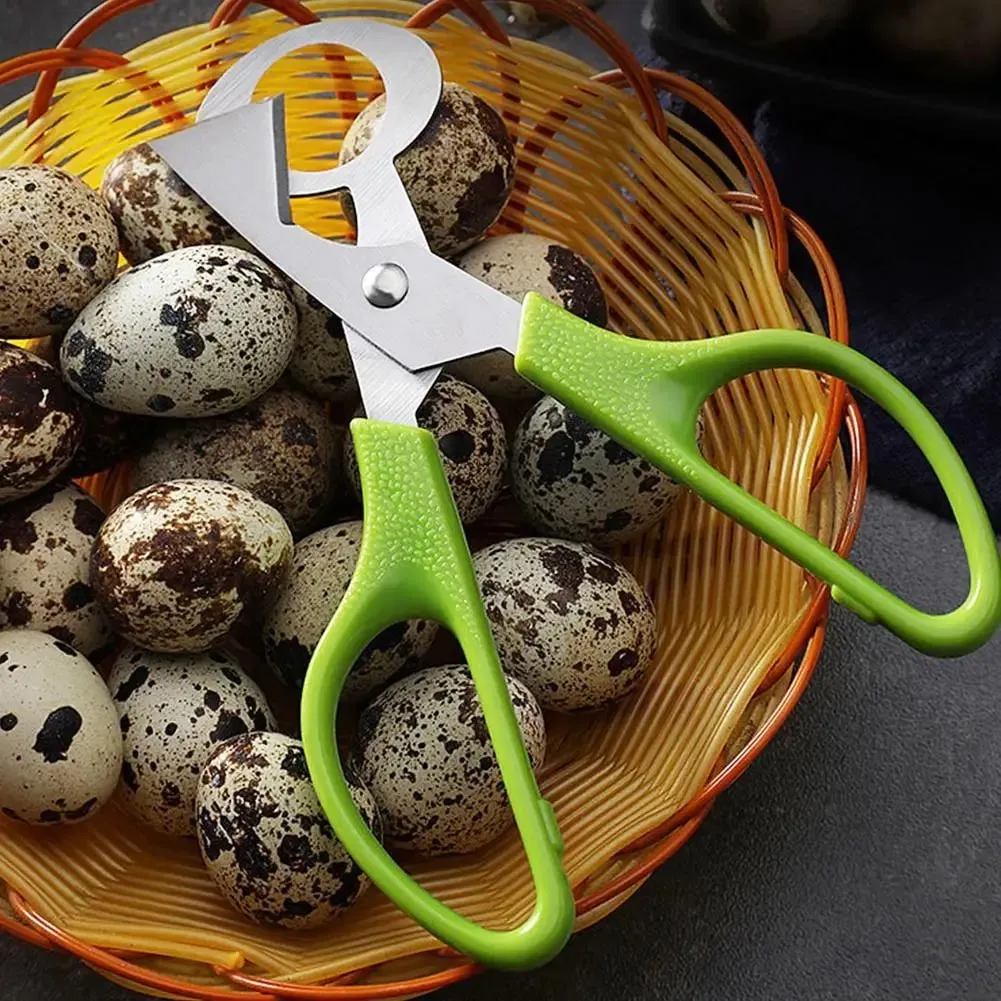 1-20 Buah Gunting Telur Puyuh Baja Tahan Karat Pembuka Pemotong Cangkang Telur-Pisau Baja Berkualitas Tinggi Alat Pengiris Telur Tahan Lama Baru — image 7