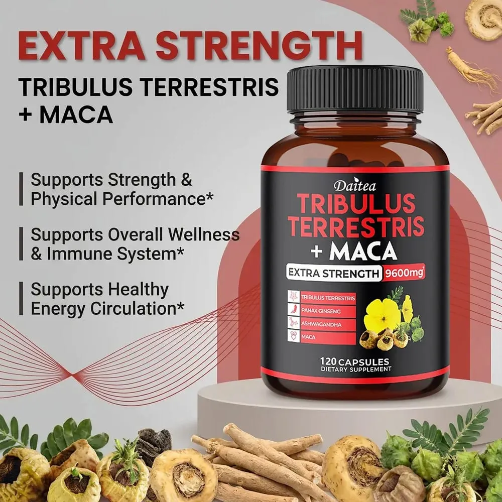 Tribulus Terrestris Capsules 7000 mg avec Maca Ginseng et Ashwagandha Energy Focus musculaire et soutien à l'endurance pour hommes — image 4