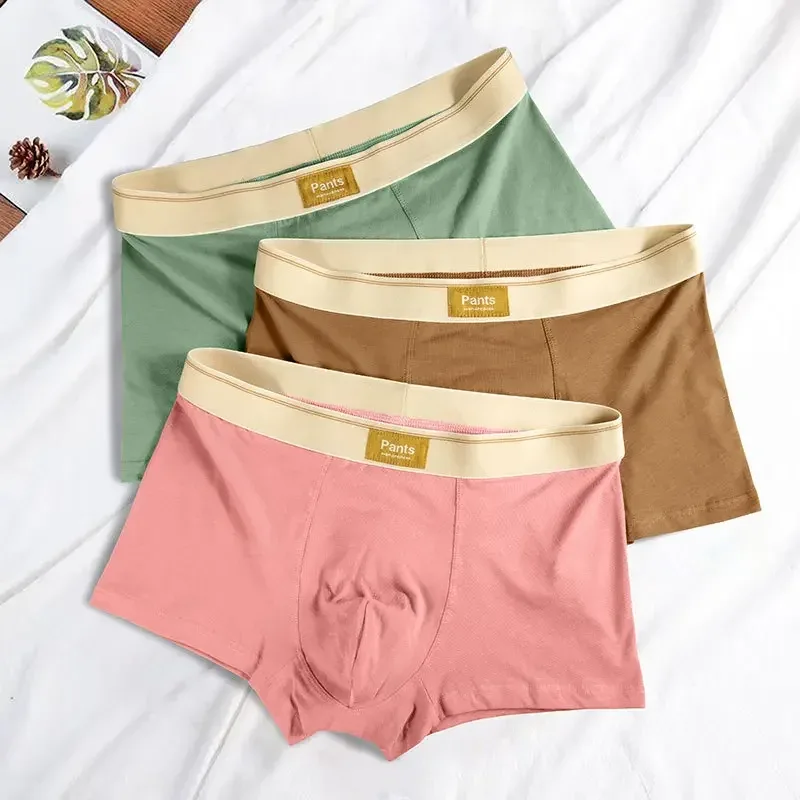 Men Underwear Cotton BoxerShorts Hombre Panties Man Breathable Underpants Sexy Sports Comfort Male Boxers Large Size L-7XL — image 3