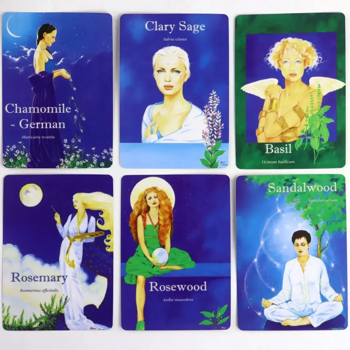 Aromatherapie-Einsichtskarten – ein leistungsstarkes Werkzeug, das Ihnen hilft, Ihre Intuition zu nutzen. 42 Stück Oracle-Karten, 10,4 x 7,3 cm