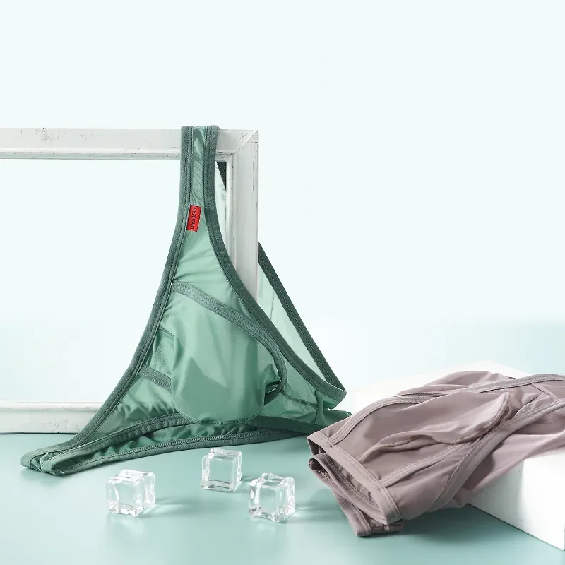 Herrbyxor Ultratunna Mesh Transparenta underkläder Andas Snabbtorkande Lågväxt sexiga U-formade påstrosor Tanga Slip — image 5