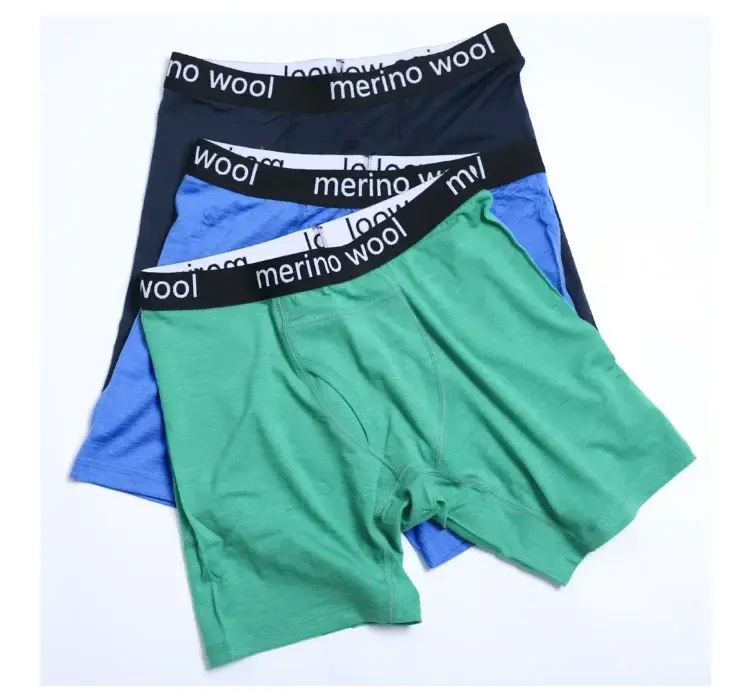 Men's 100% Merino Wool Boxer Briefs Men Merino Wool Underwear Base Layer Moisture Wicking Breathable Sports Hiking Underpants — image 4