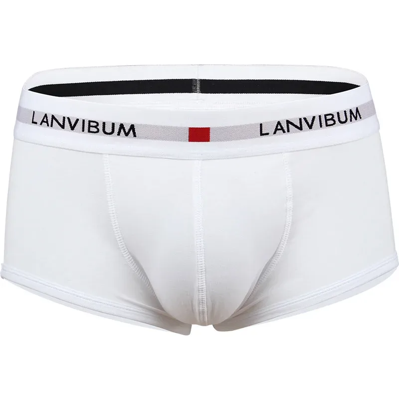 Men's Underwear Youth U Raised Low Waist Cotton Quadrangle Pants Solid Color Large Men's Shorts