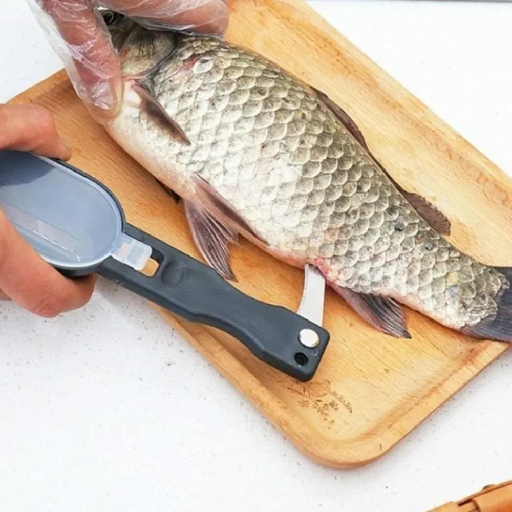Cepillo multifunción para raspar escamas de pescado, desmontaje de cuchillo de pescado, limpieza rápida de escamas de pescado, herramienta de cocina para el hogar — image 5