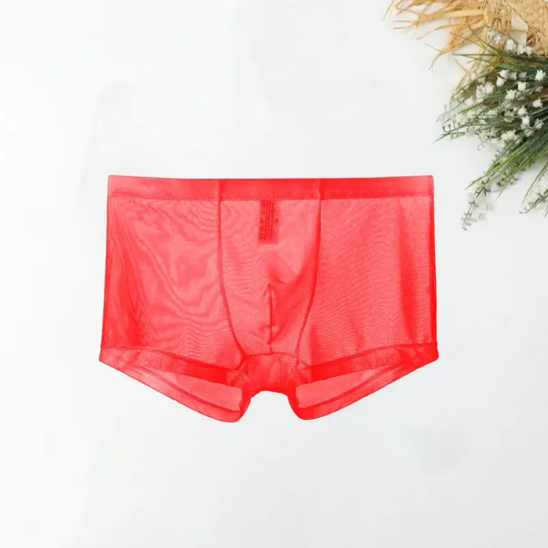 Transparent Boxers for Men See Through Male Underpants Sexy Mesh Low Waist Ice Silk Thin Cooling Men Panties Men Underwear — image 14