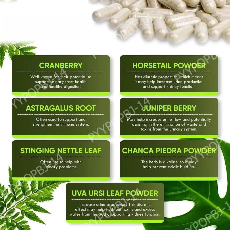 Suplemen Pendukung Ginjal untuk Pemulihan Ginjal dengan Chanca Piedra Cranberry Juniper Berries untuk Detoks dan Kesehatan Kandung Kemih 60 Hitung — image 5