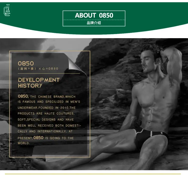 0850 Mens Sexy Underwear Briefs Men Cotton Comfortable Breathable Panties Wholesale Male Underpants Cueca Men Briefs — image 21