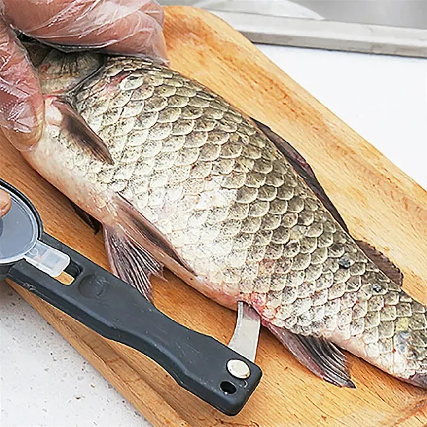 실용적인 물고기 스케일 제거제 플라스틱 과일 및 야채 필러 Descaling 및 액세서리 접이식 칼이 포함 된 스크레이퍼 청소 — image 4