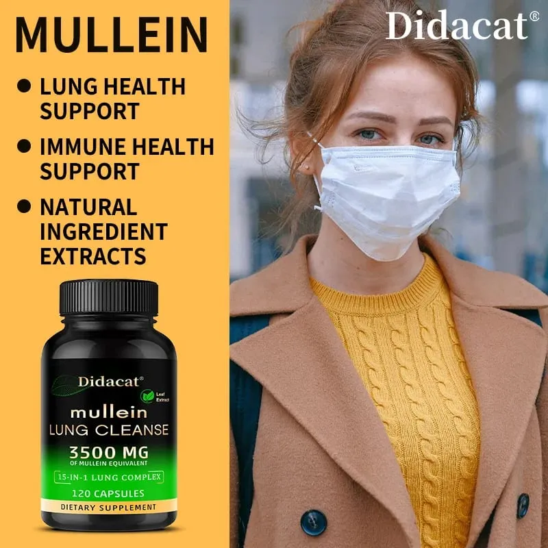 Integratore di estratto di foglie di verbasco Vitamina C Minerale Pulizia polmonare Supporto del sistema immunitario 120 capsule Integratore sanitario — image 2