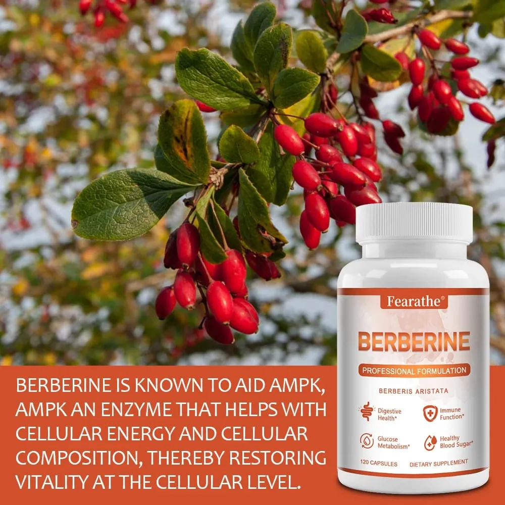 Premium Berberine - Understøtter immunsystemets vægtkontrol Fordøjelsessundhed og GI-funktion Supplement 120 kapsler — image 3