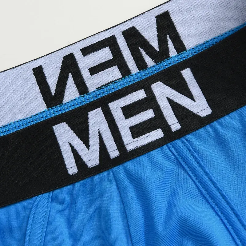 1Pcs/Set Men's Viscose Letter Panties Seamless High Quality Breathable Underpants Male Elastic Soft Comfortable Underwear S-XL — image 4