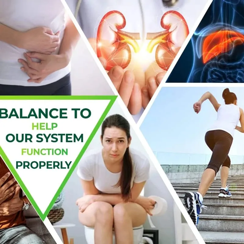 Psyllium Kabuğu Kapsülleri - Kabızlığı İyileştirir Metabolizmayı Hızlandırır Besin Sindirimi Yetişkin Erkekler ve Kadınlar için Bağırsak Sağlığı — image 3