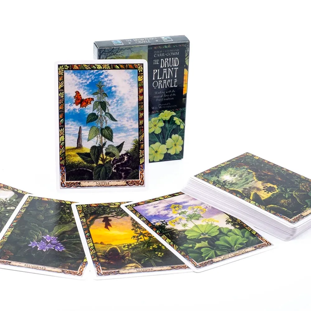 Cotolie KUMACHAN MOON CARDS 24 Stk Deck Engelsk Version Adorable Bear Oracle Cards Brætspil til familiefest 10,4*7,4cm — image 8