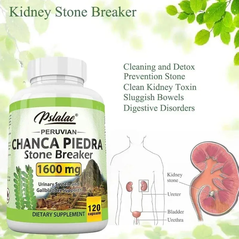 Chanca Piedra Capsules 1600mg - Urinary Tract Support Non-GMO Supplement Kidney Stone CrushingSupplement — image 6