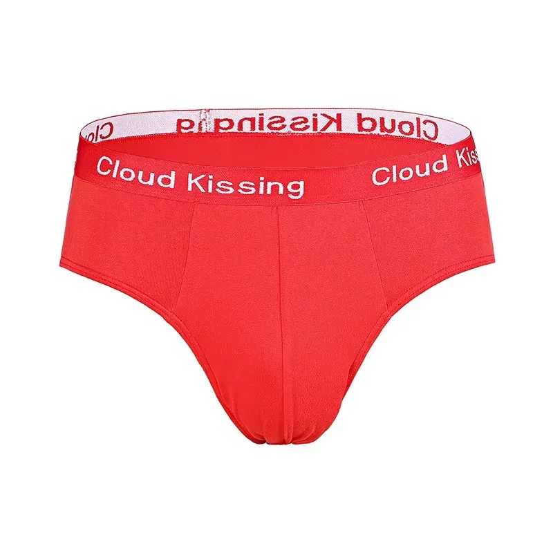 4 pièces/lot été hommes Triangle pantalon grande taille hommes sous-vêtements Sexy garçon confortable solide caleçons anti-champignons hommes culottes — image 2