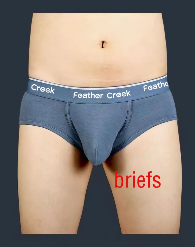 Slip Uomo Large Pouch Underwear U Convex Bulge Enhancing Durable Seamless Cotton Briefs Breathable Low Rise Boxer Shorts Fit — image 4