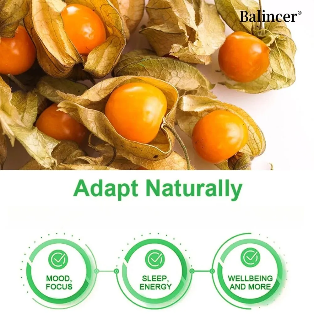 Ashwagandha Supplement- Supports Brain and Memory Improves Focus Stamina Improves Mood and Sleep - 120 Capsules — image 3