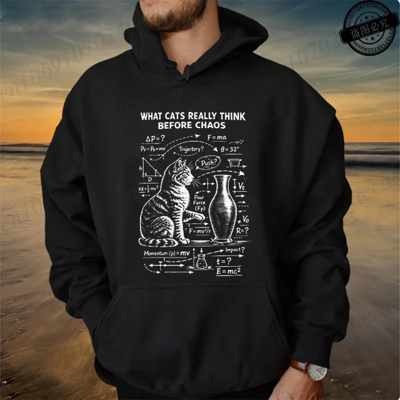 Funny Cat Physics Design Hoodies Math Science Humor Cat Print Sweatshirt Personalized Men Women Casual Streetwear Fashion Hoodie — image 21