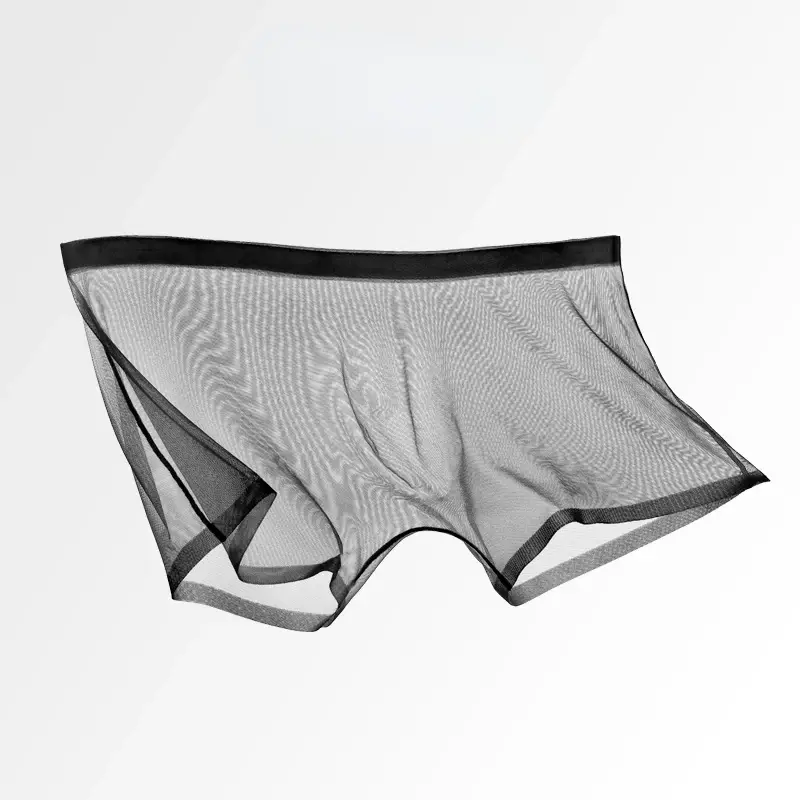 Herrenunterwäsche, transparente Boxer, Ausbuchtung, Eisseide, durchsichtige Unterhose, sexy Slips, niedrige Taille, Höschen, Dessous, Dessous — image 8